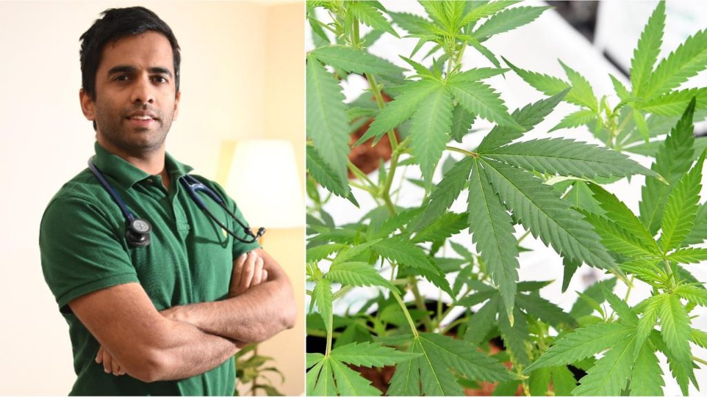 Medicinal Marijuana – Necessity Instead Of a choice