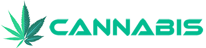 Women In Cannabis NYC